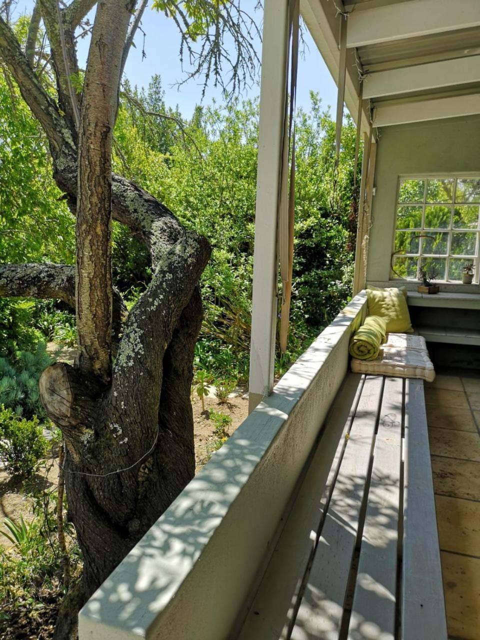 Almond Cottage Bed & Breakfast Somerset West Exterior photo
