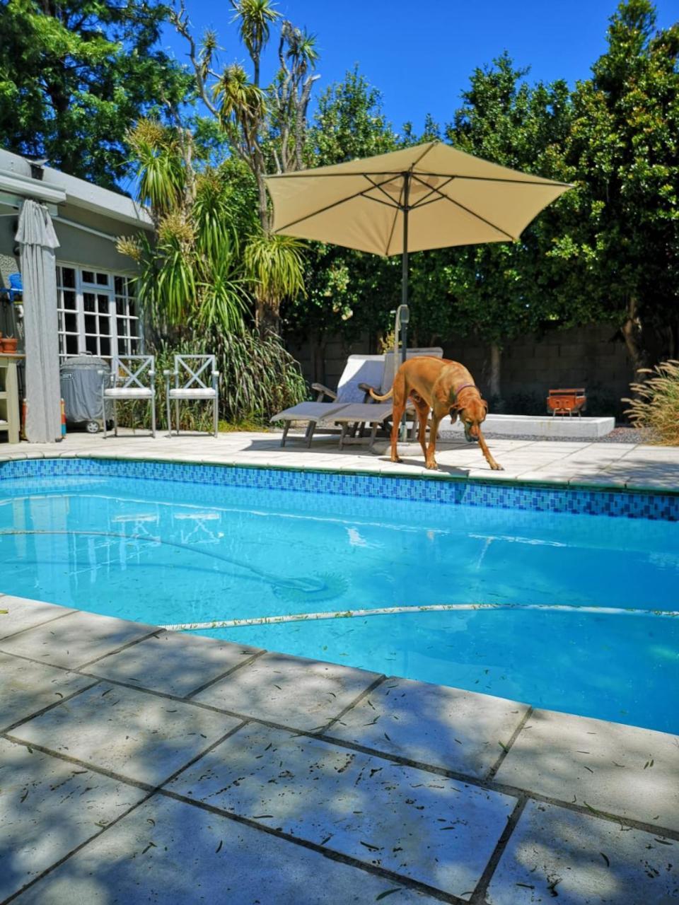 Almond Cottage Bed & Breakfast Somerset West Exterior photo