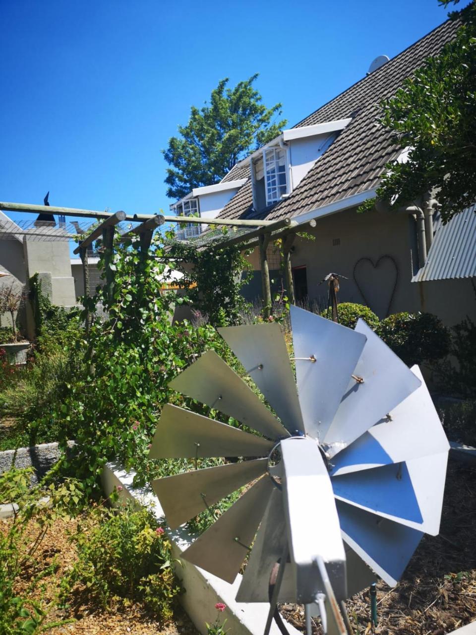 Almond Cottage Bed & Breakfast Somerset West Exterior photo